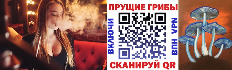 Псилоцибиновые грибы Psilocybine cubensis  где найти   ОМГ ОМГ онион  Славянск-на-Кубани 